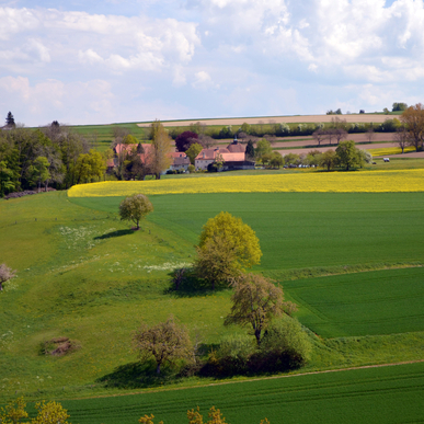 Image - Chene-Paquier_depuis_la_tour_Saint-Martin-du-Chene.jpg