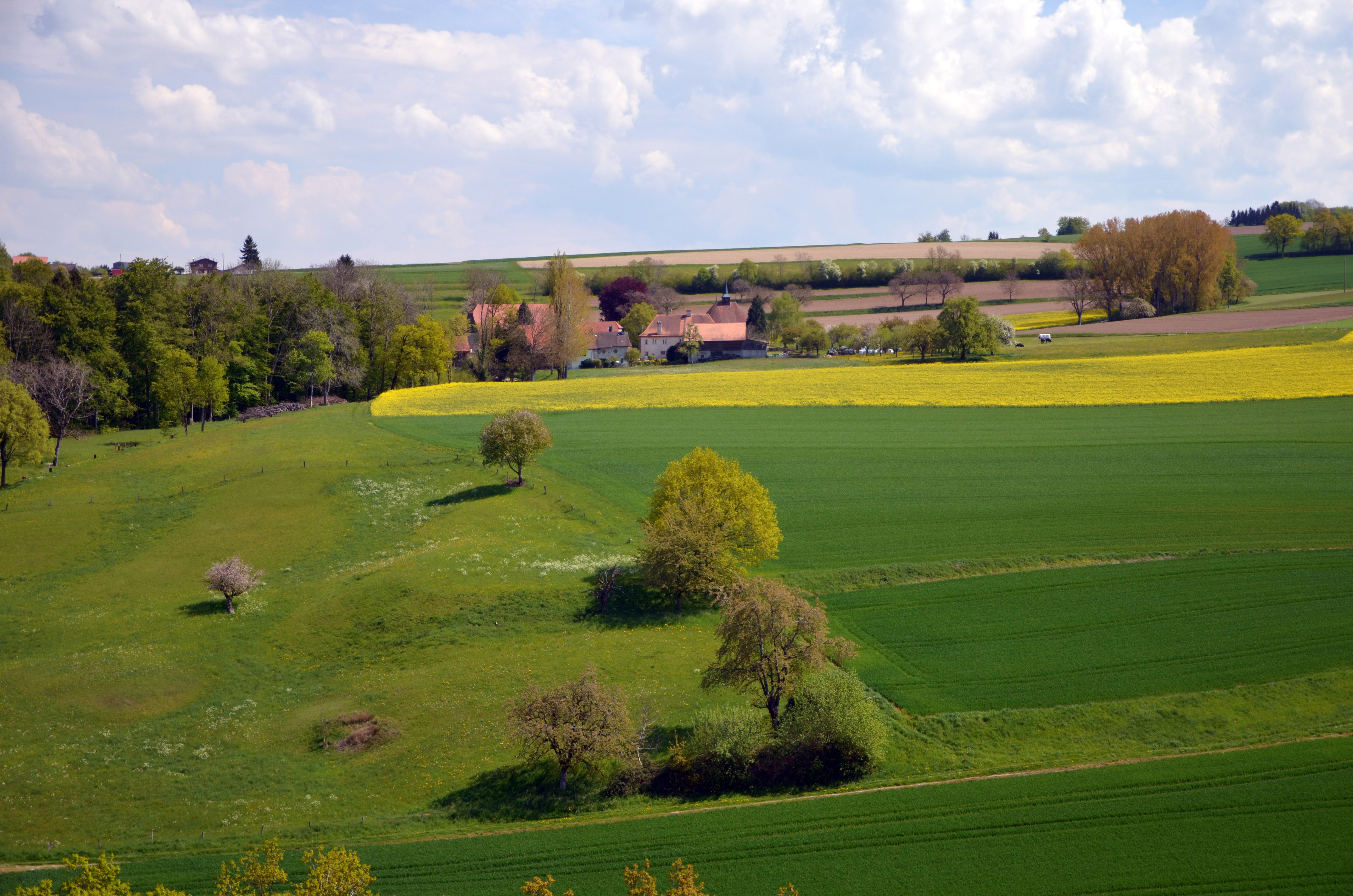 Image - Chene-Paquier_depuis_la_tour_Saint-Martin-du-Chene.jpg